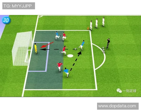 深圳足球队耐力表现数据分析揭示运动员体能训练与比赛成绩的关系